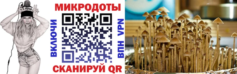 Псилоцибиновые грибы ЛСД  Верхний Уфалей 