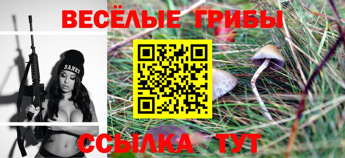 Псилоцибиновые грибы Psilocybine cubensis  Галлюциногенные грибы прущие грибы  Вход с VPN  Верхний Уфалей 