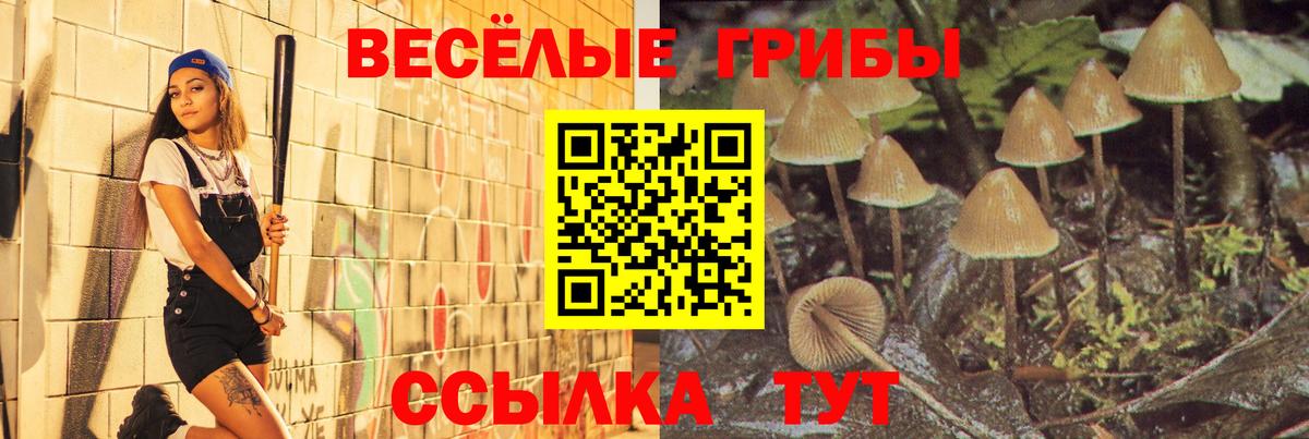 Галлюциногенные грибы мицелий  Псилоцибиновые грибы прущие грибы  Верхний Уфалей 